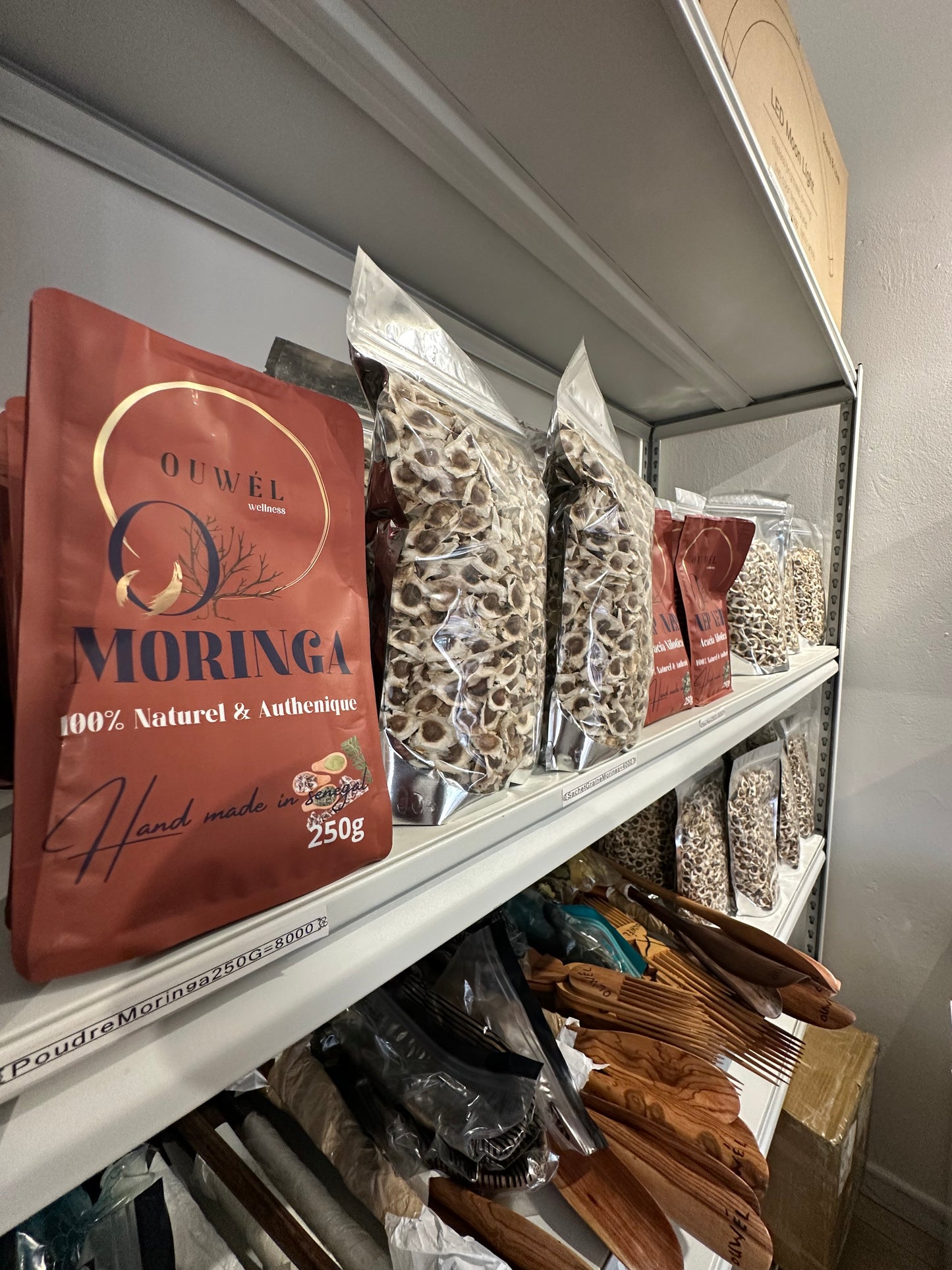 Graine de Moringa