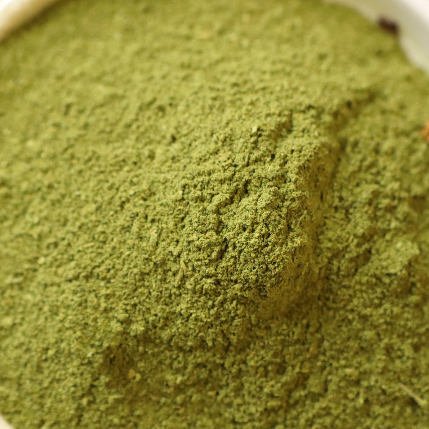 Moringa